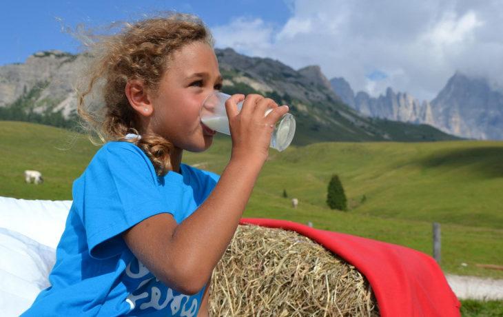 vacanza con bambini gratis in Trentino